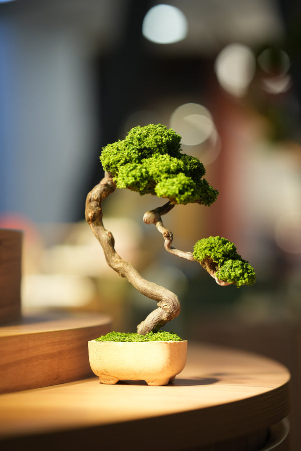 Rosewood - Benchmark