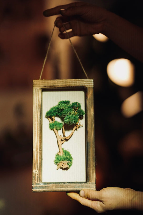 A Small Tree in the East - Wall Hanging edition (Preserved Plants)