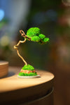 Small Tree in the East - Classics - Benchmark