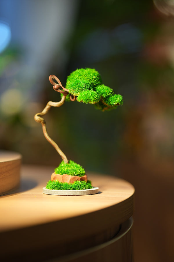 Small Tree in the East - Classics - Benchmark