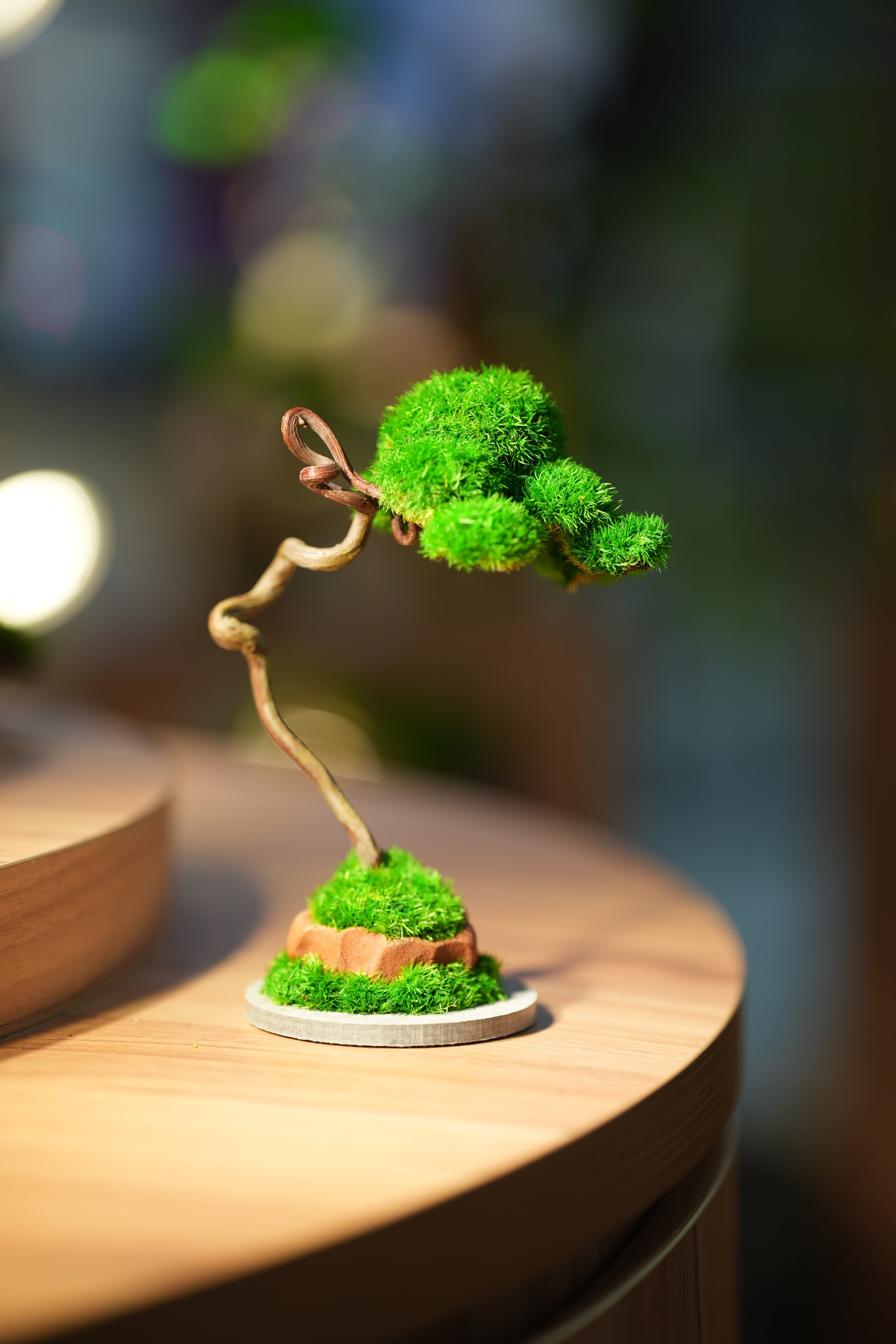 Small Tree in the East - Classics - Benchmark