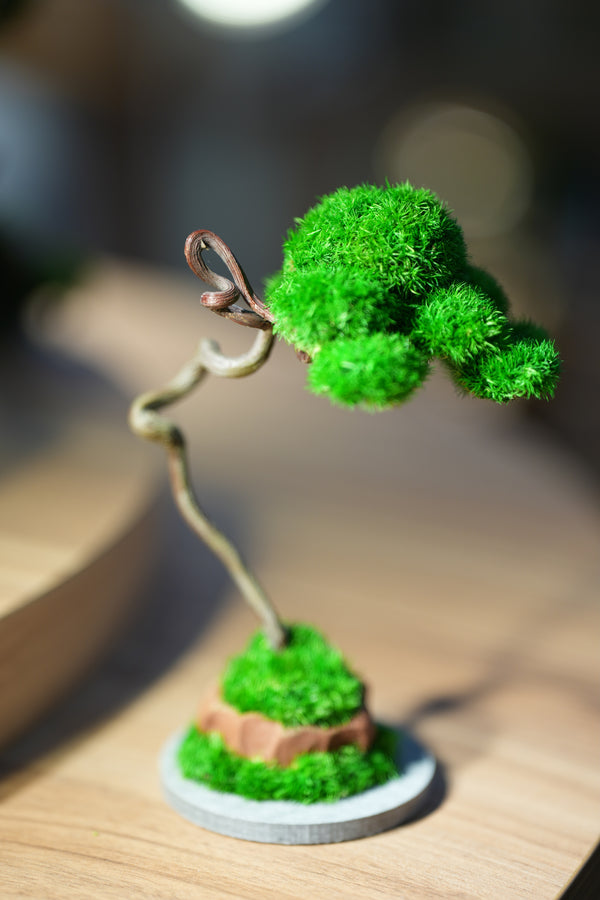 Small Tree in the East - Classics - Benchmark