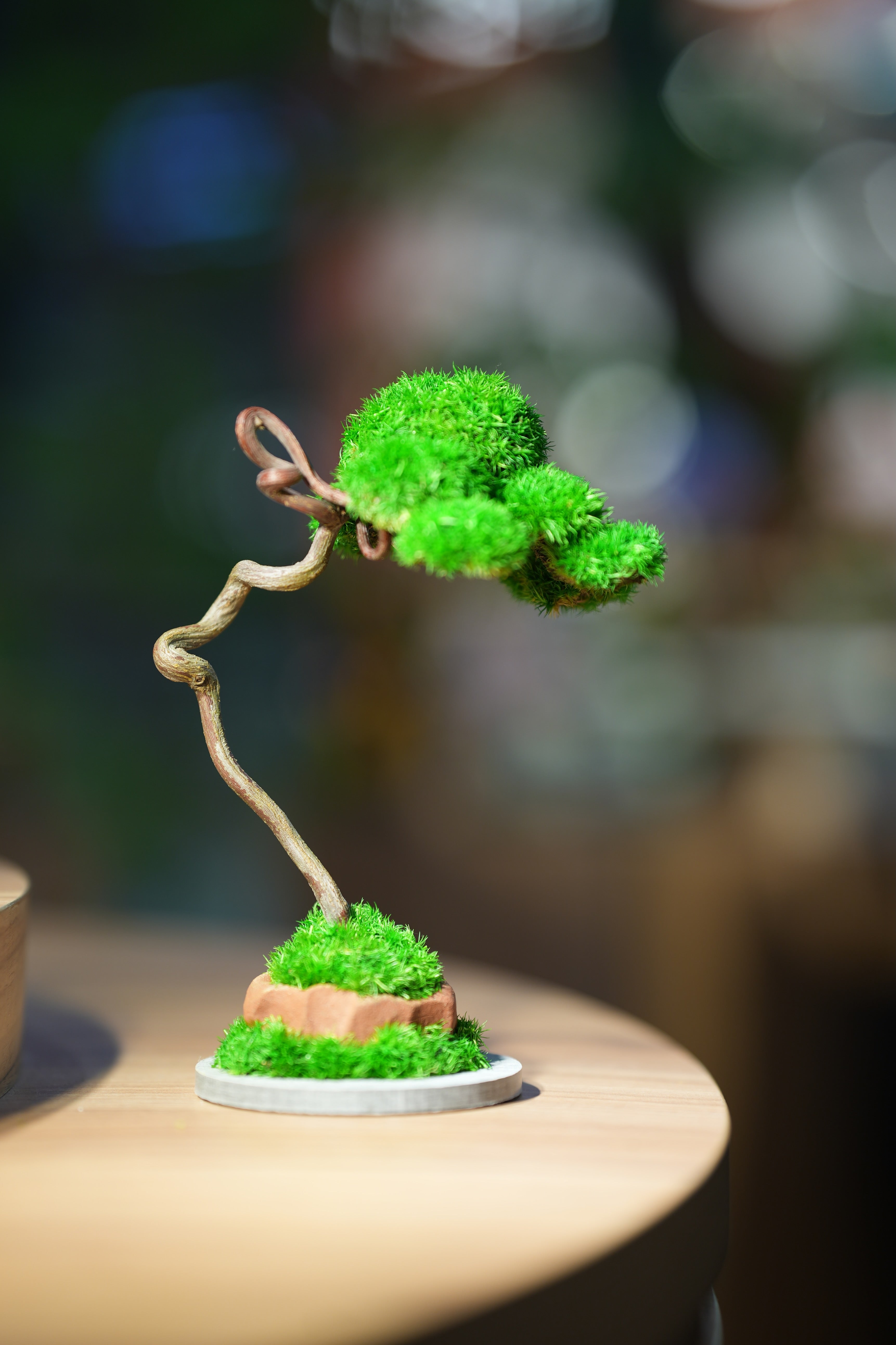 Small Tree in the East - Classics - Benchmark