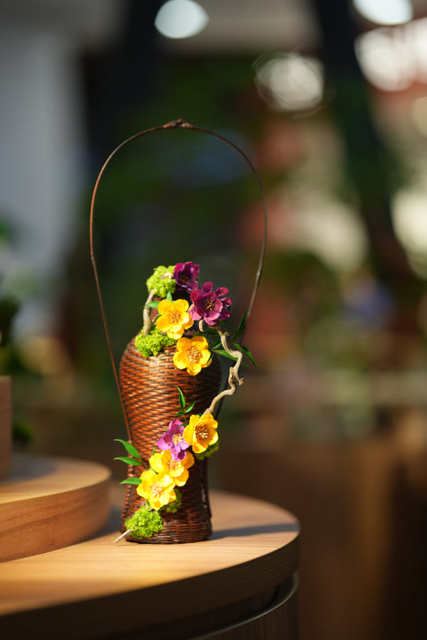 Children of Forest - Curve