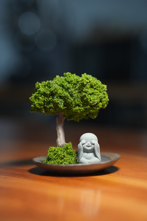 A Small Tree in the East - Journeyman