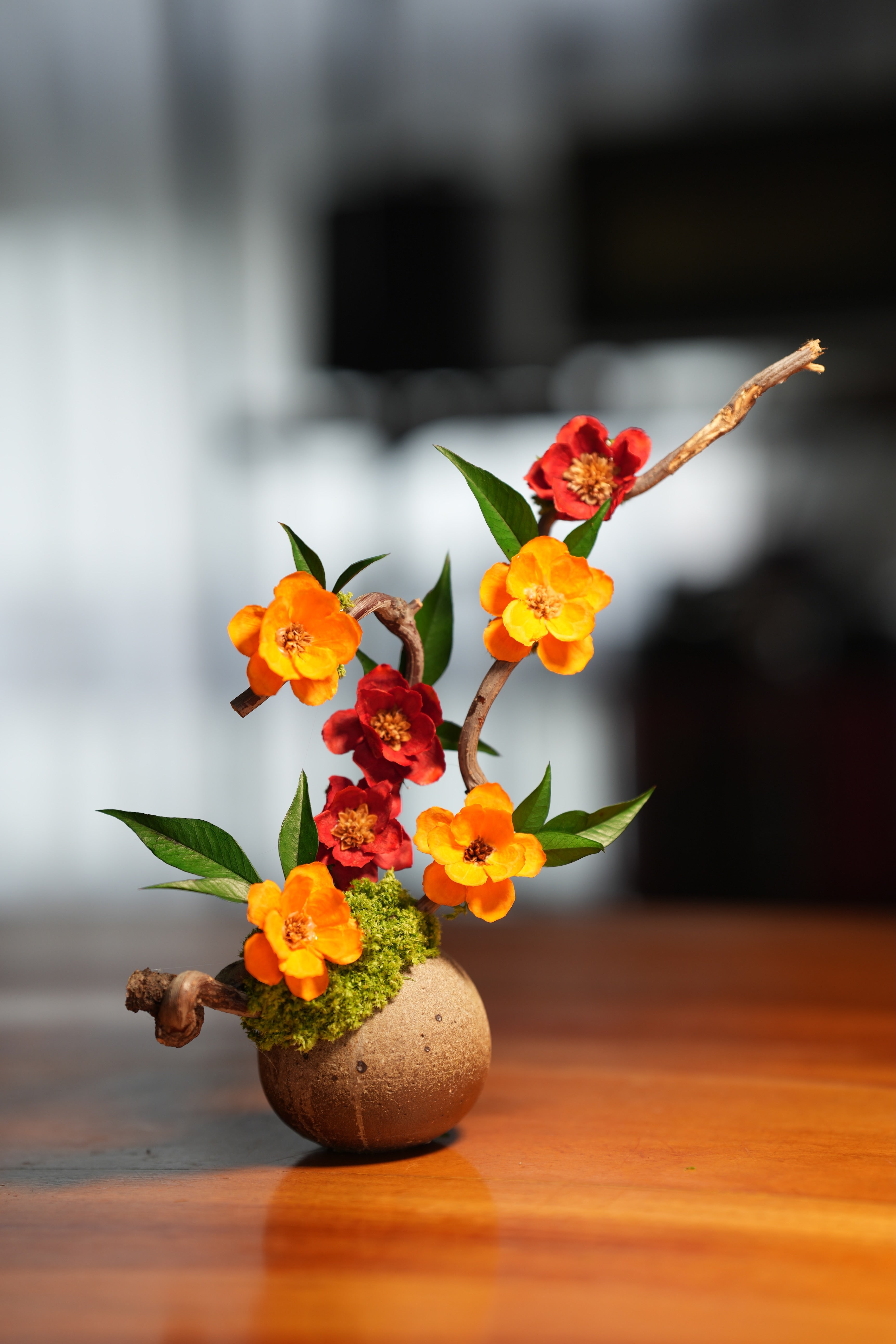 Children of the Forest - Vibrant