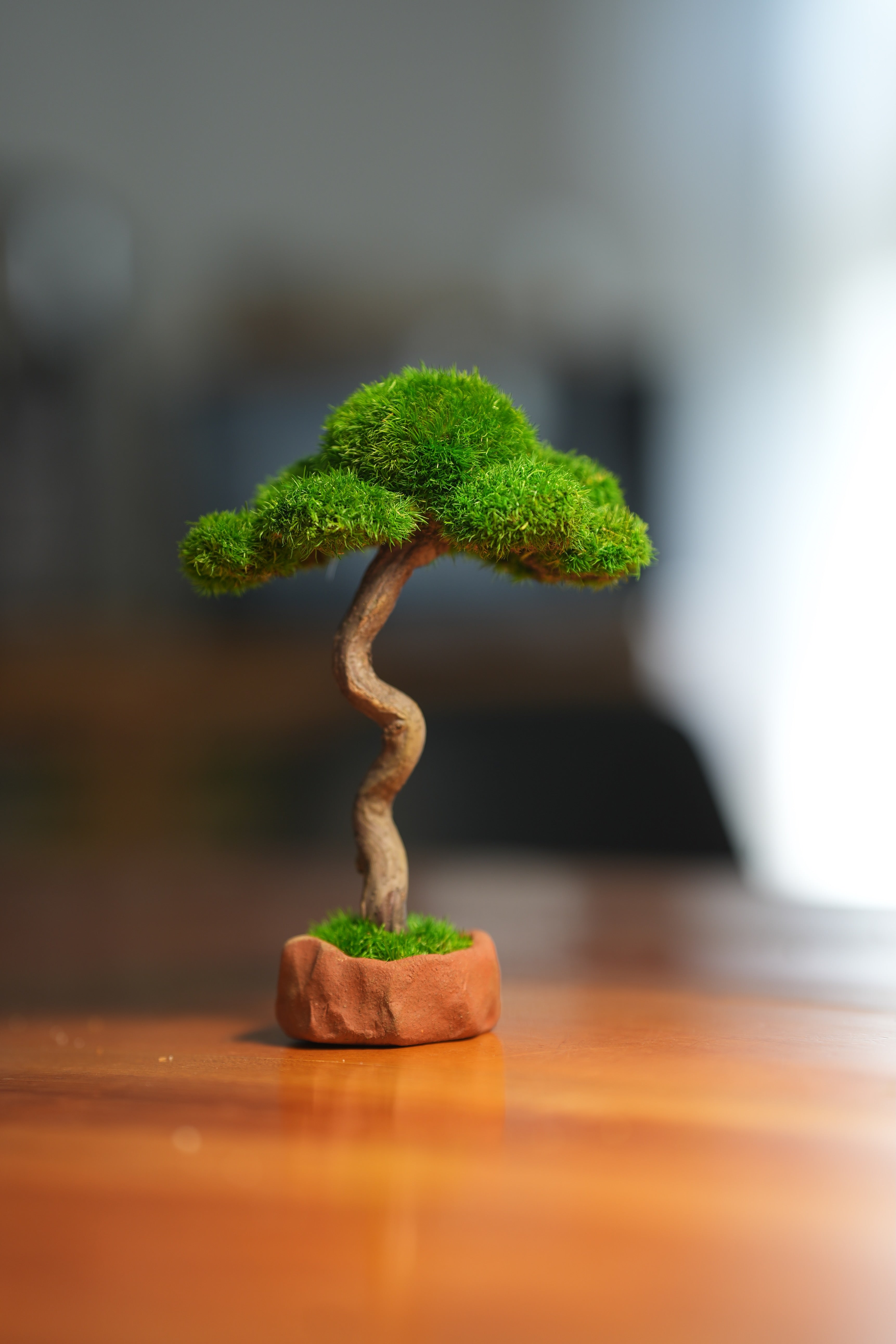 Small Tree in the East