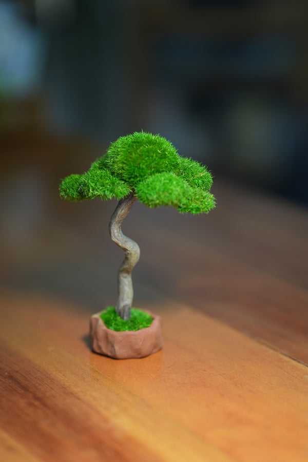 Small Tree in the East