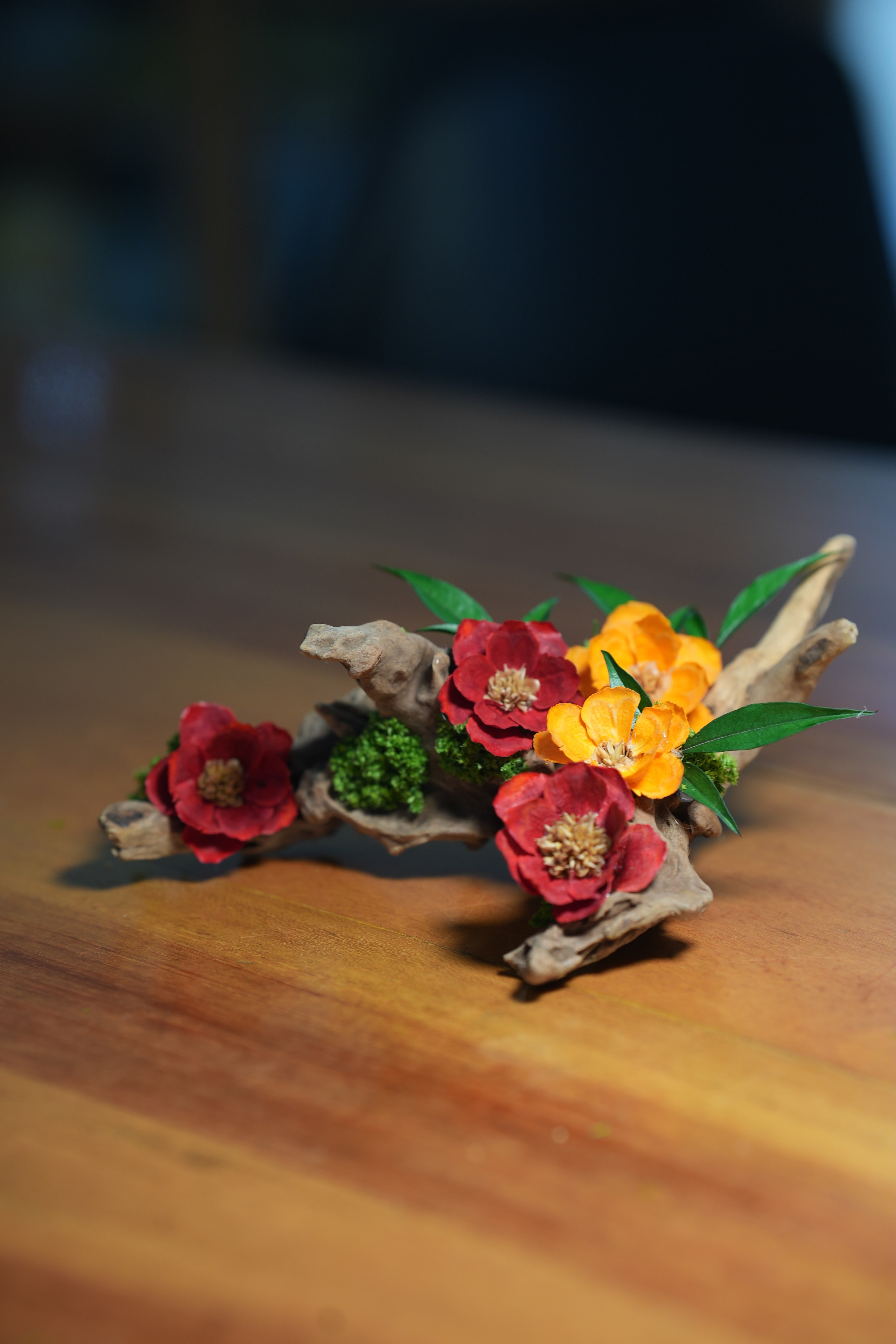 Children of the Forest - Driftwood