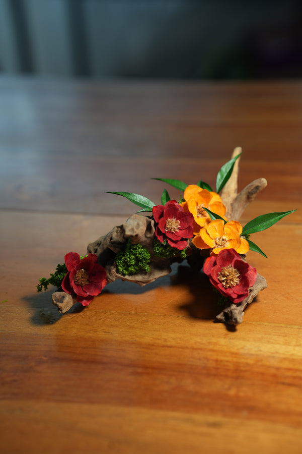 Children of the Forest - Driftwood