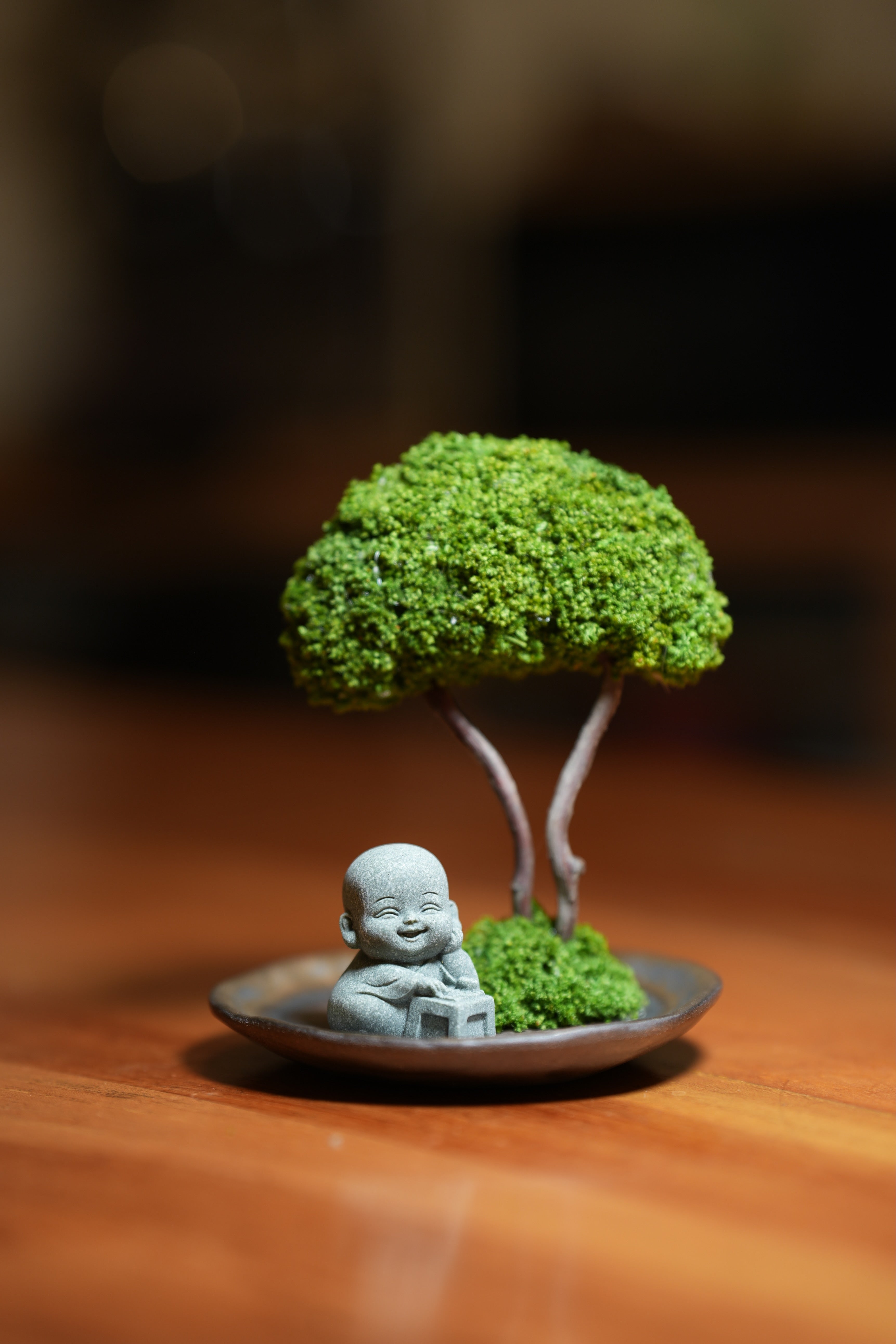 A Small Tree in the East - Journeyman