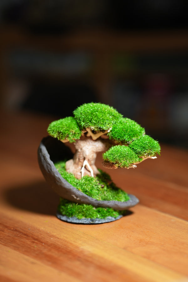 Slow Wood - Young (Preserved Plants)