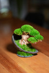 Slow Wood - Young (Preserved Plants)