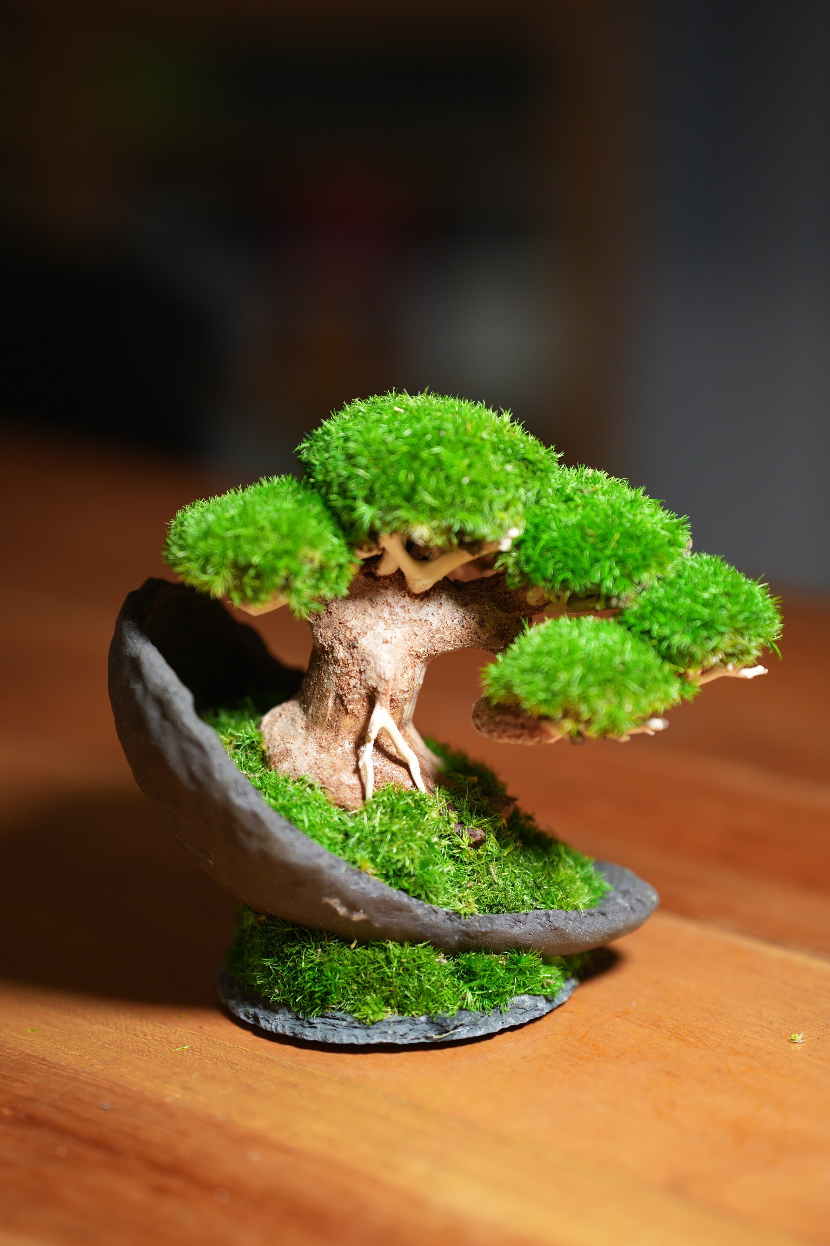 Slow Wood - Young (Preserved Plants)