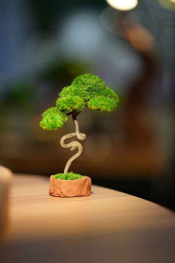 Small Tree in the East - Benchmark