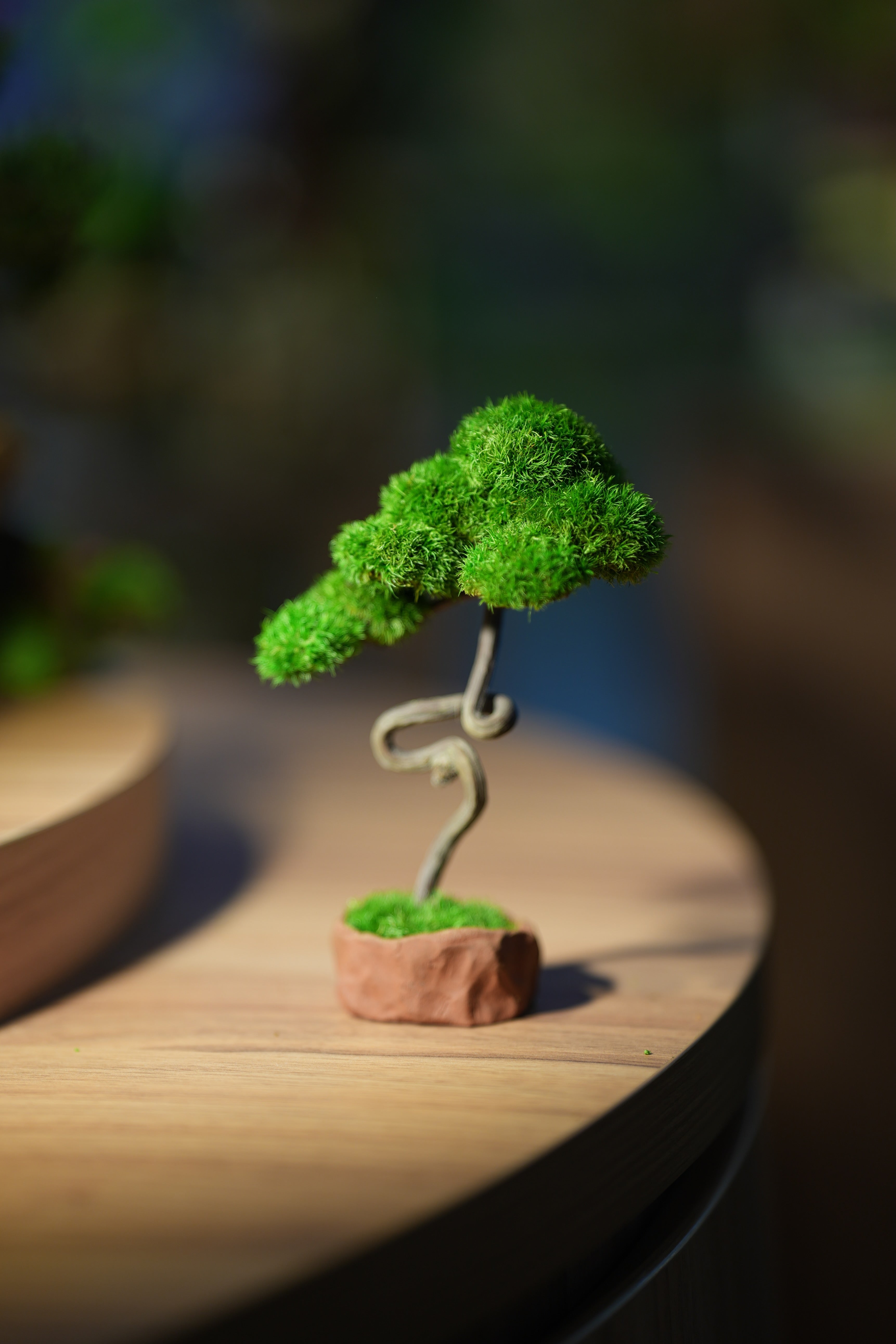 Small Tree in the East - Benchmark
