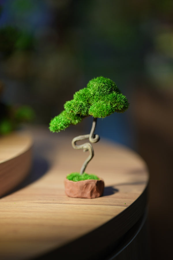 Small Tree in the East - Benchmark