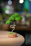 Small Tree in the East - Benchmark