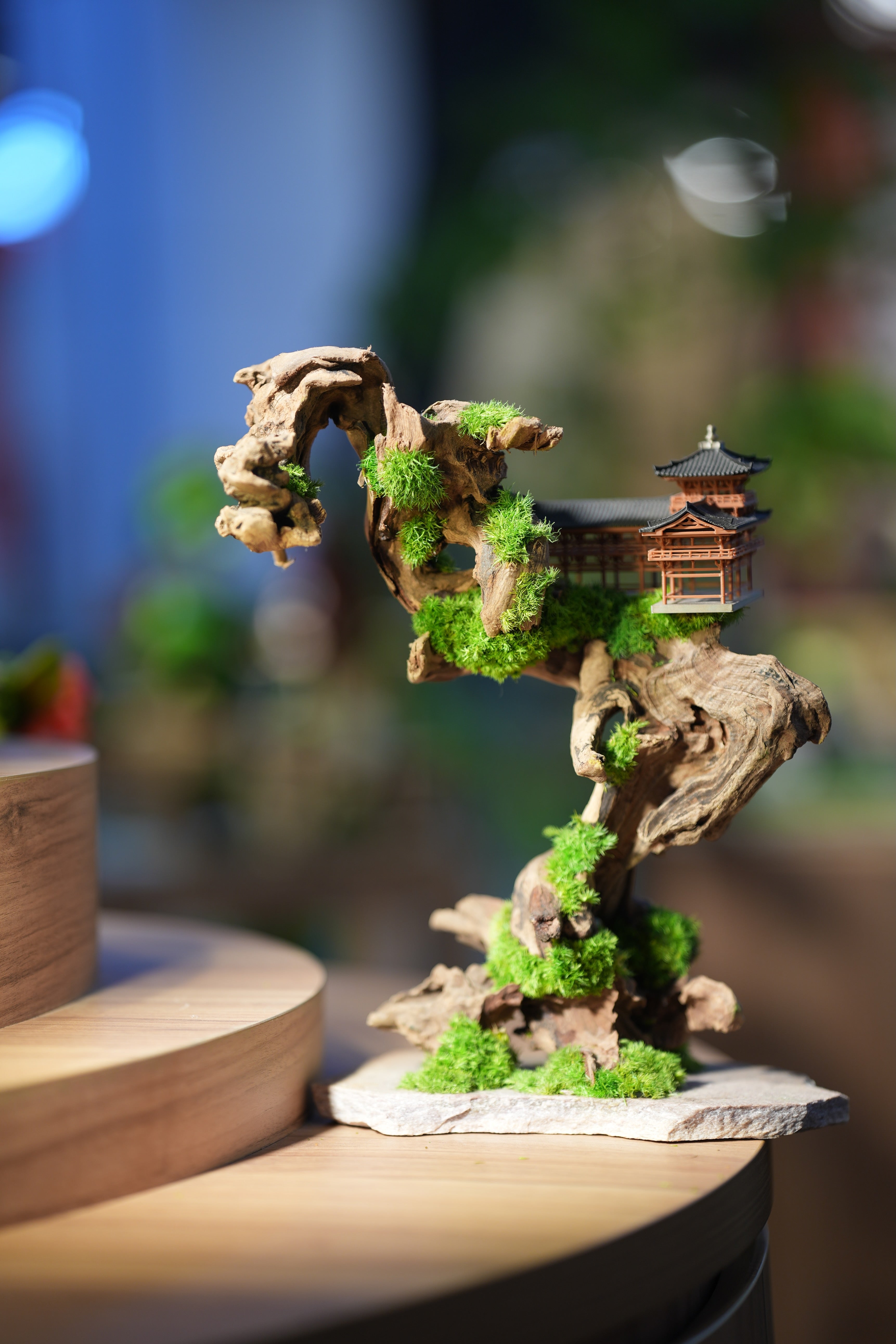 Blackwood Cliff