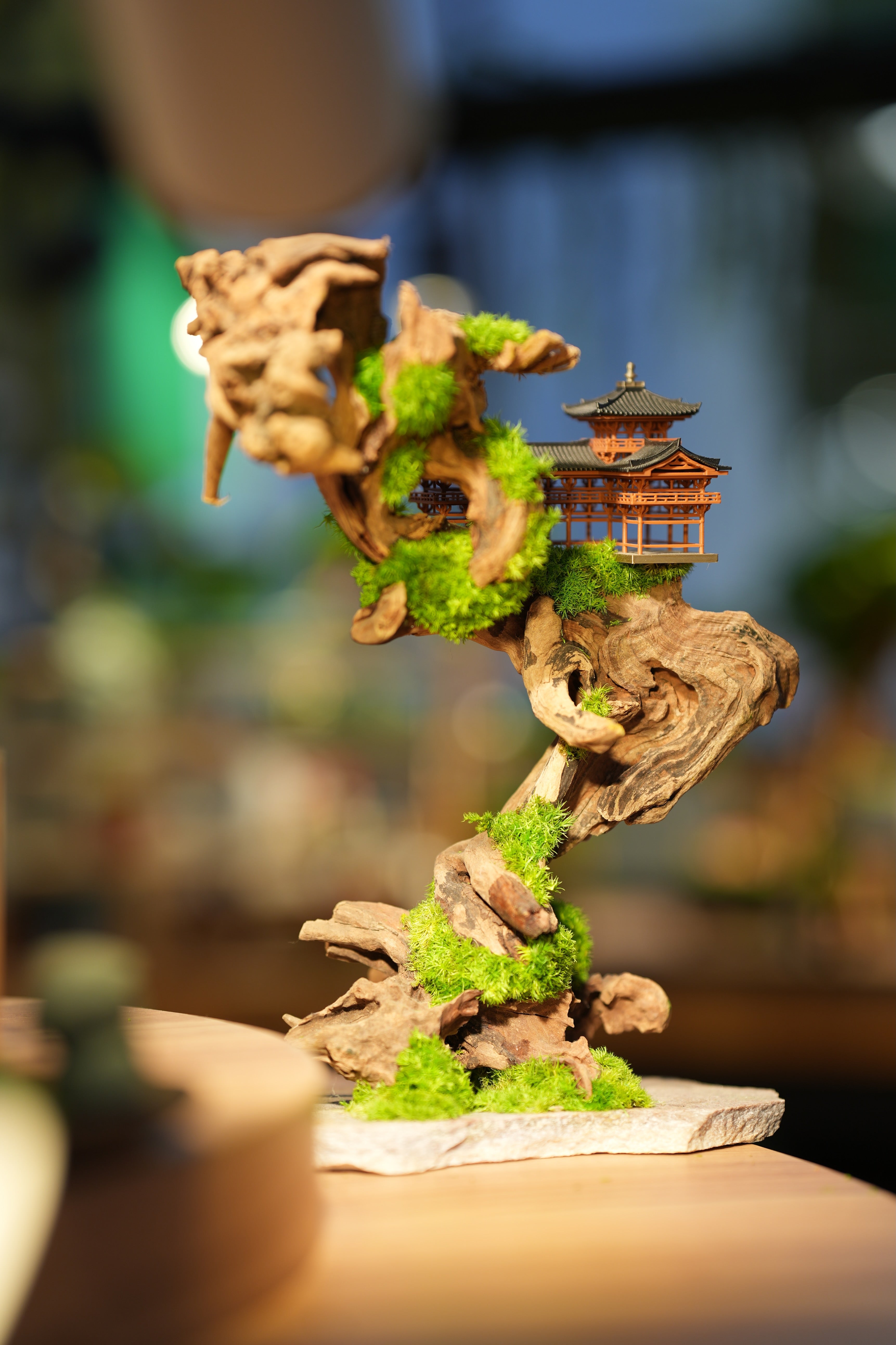 Blackwood Cliff