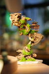 Blackwood Cliff