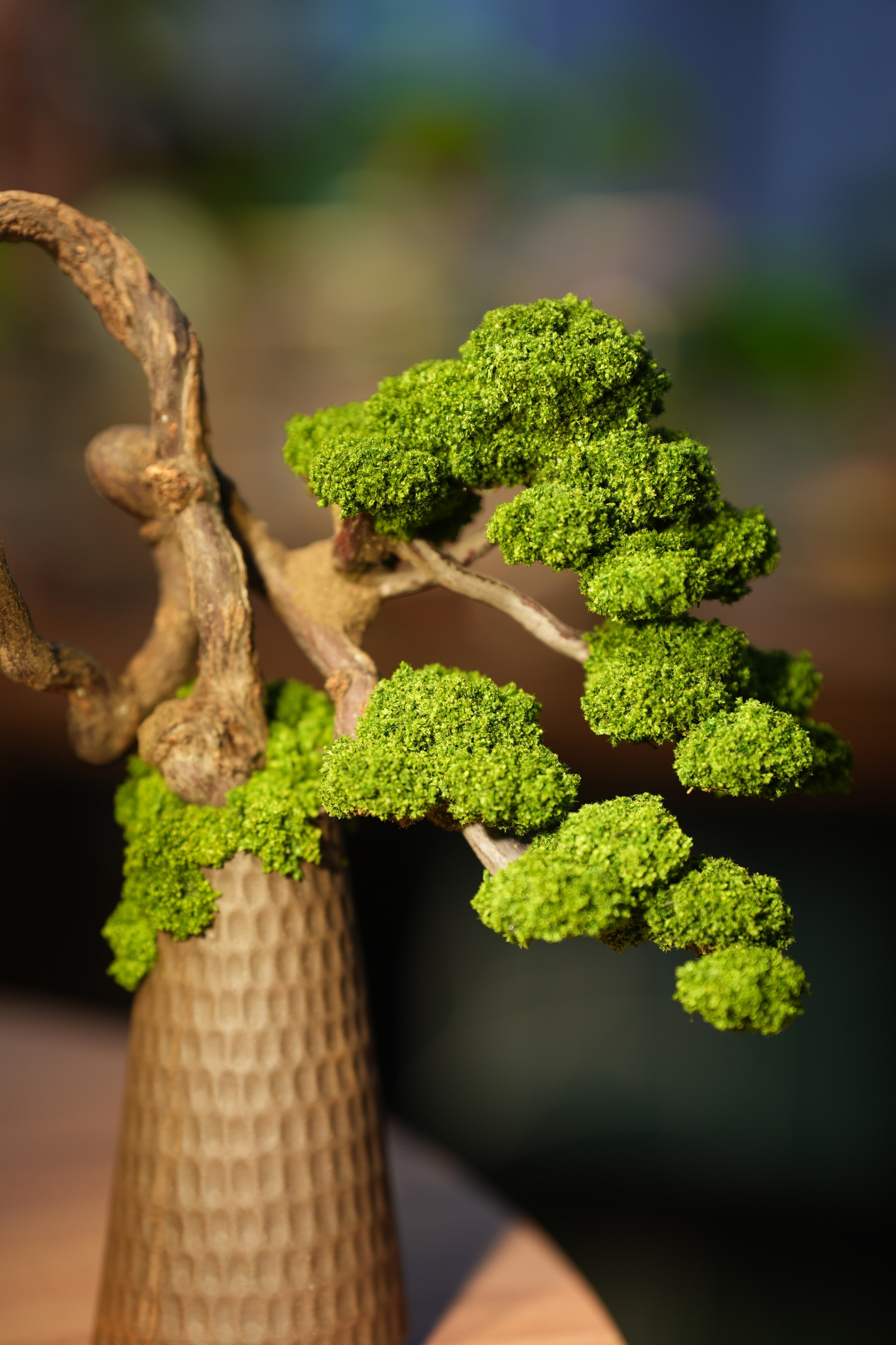 Rosewood - King's Wood