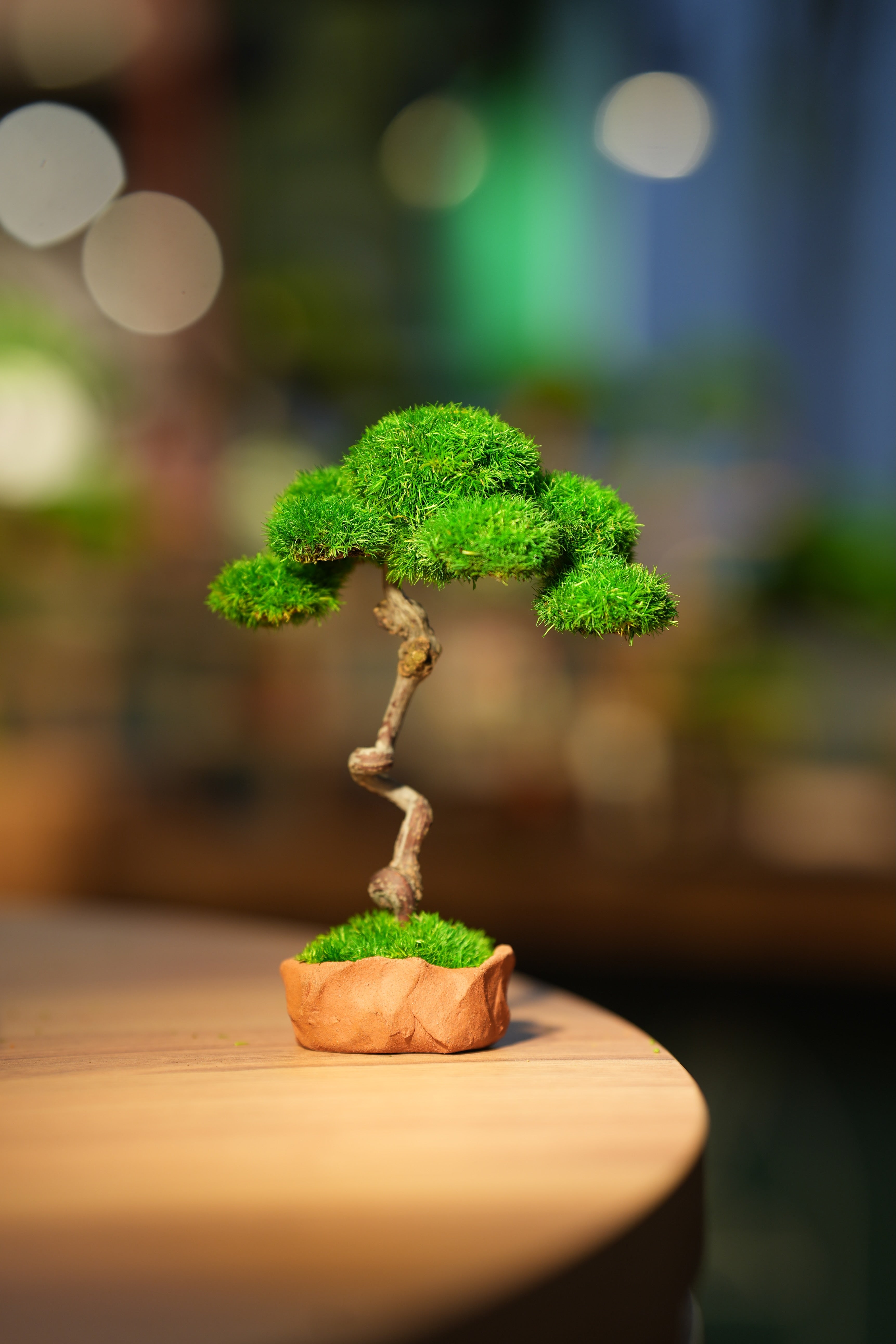 Small Tree in the East - Benchmark