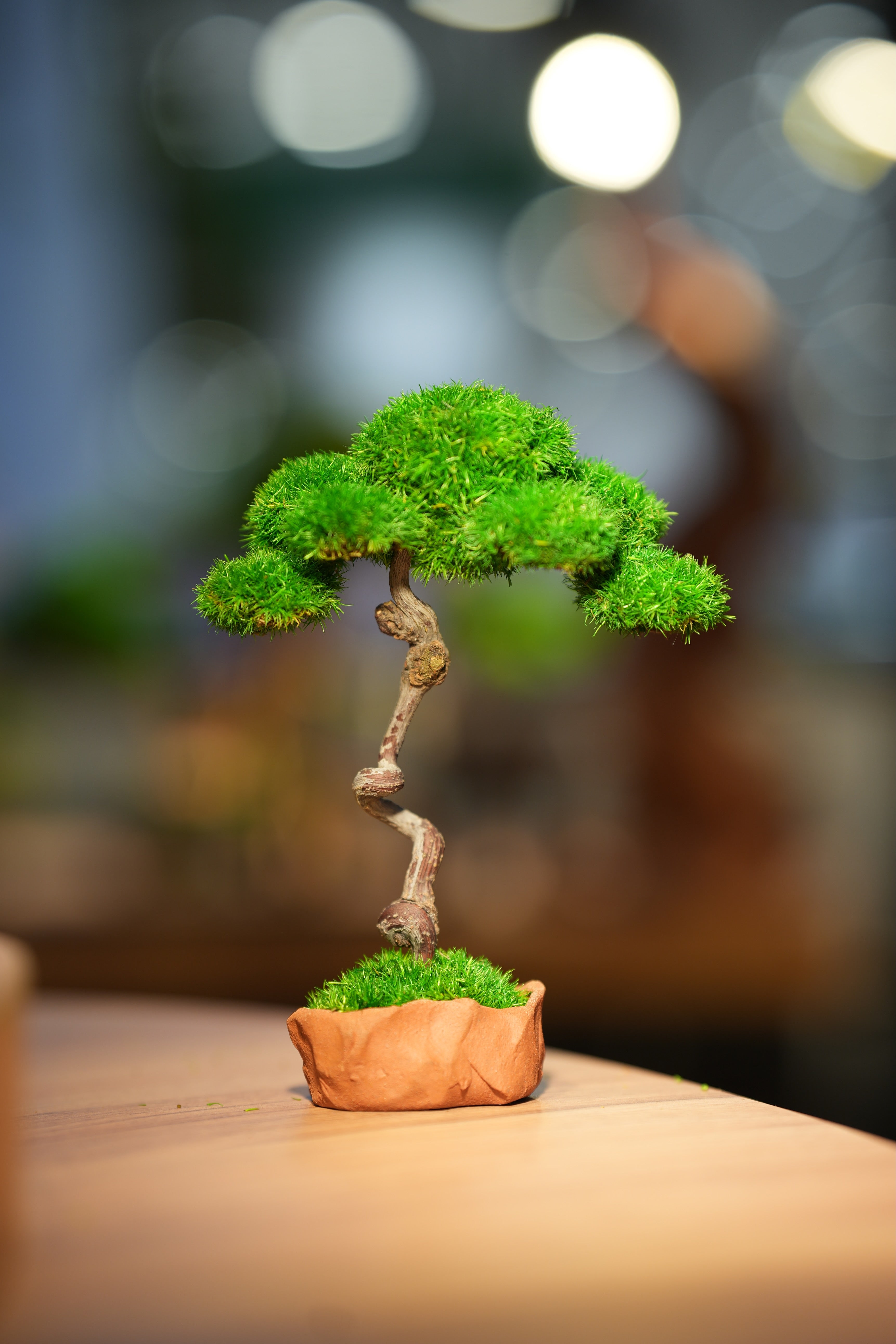 Small Tree in the East - Benchmark