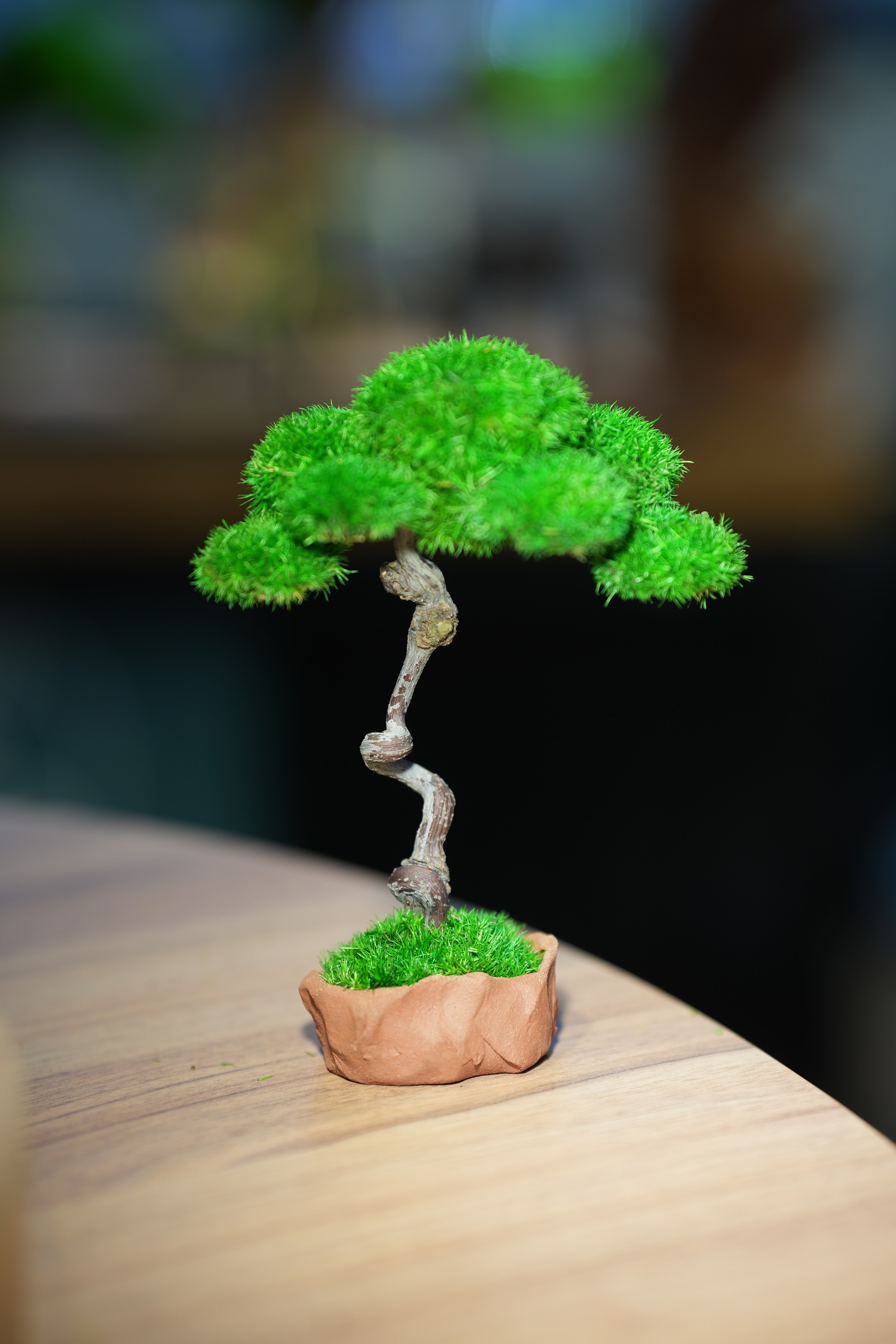 Small Tree in the East - Benchmark