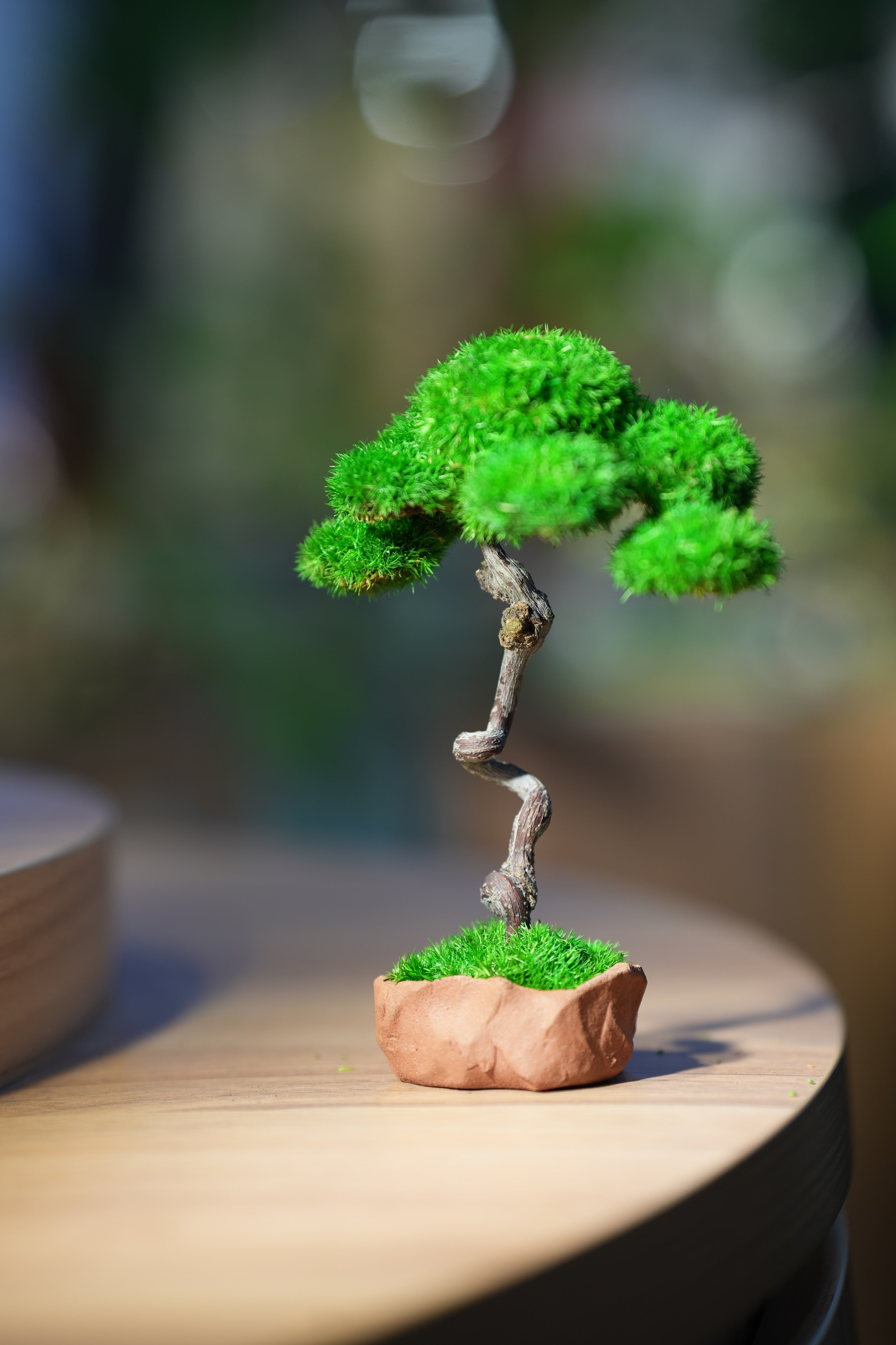 Small Tree in the East - Benchmark