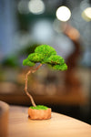 Small Tree in the East