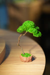 Small Tree in the East