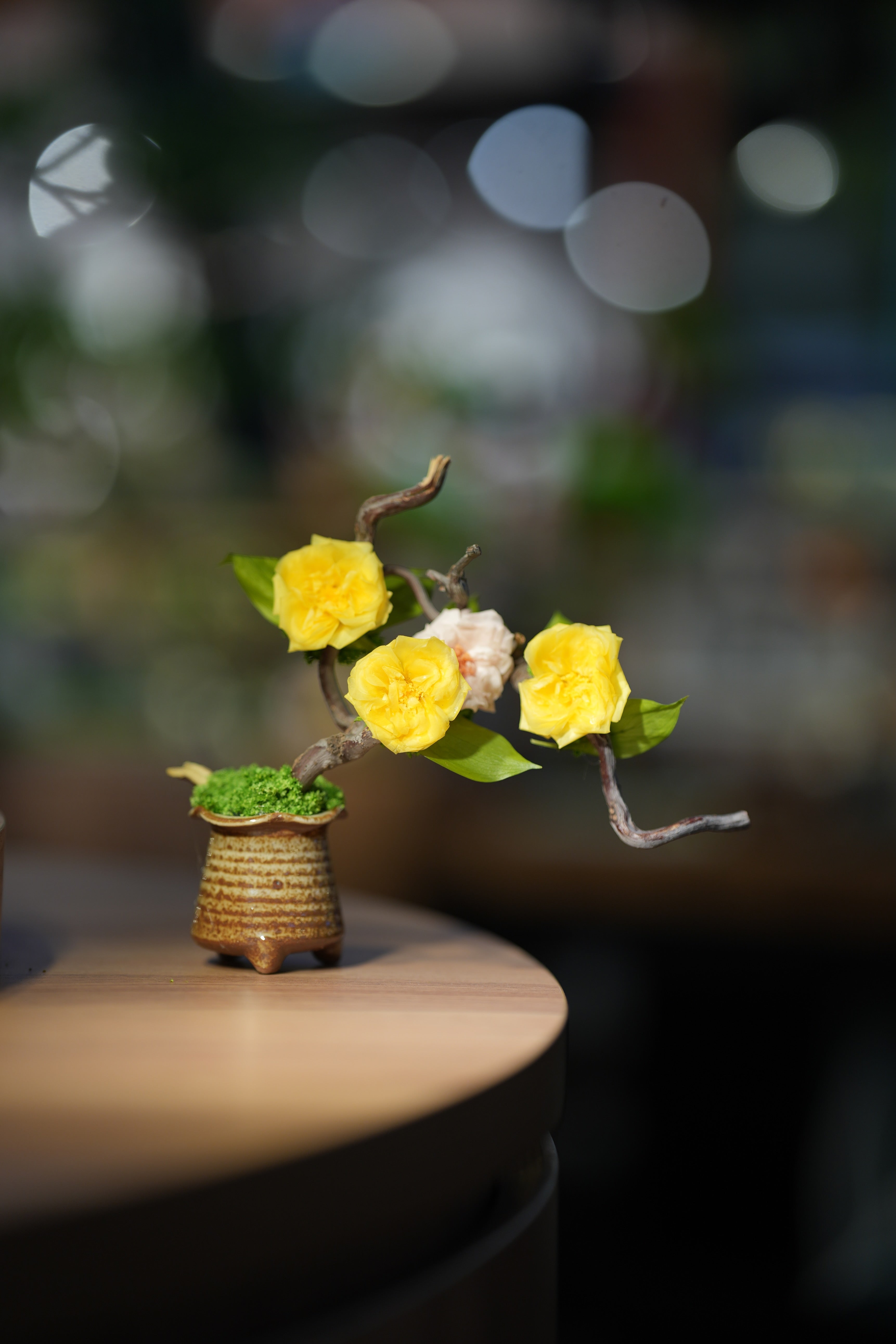 Children of the Forest - Vibrant - French Rose