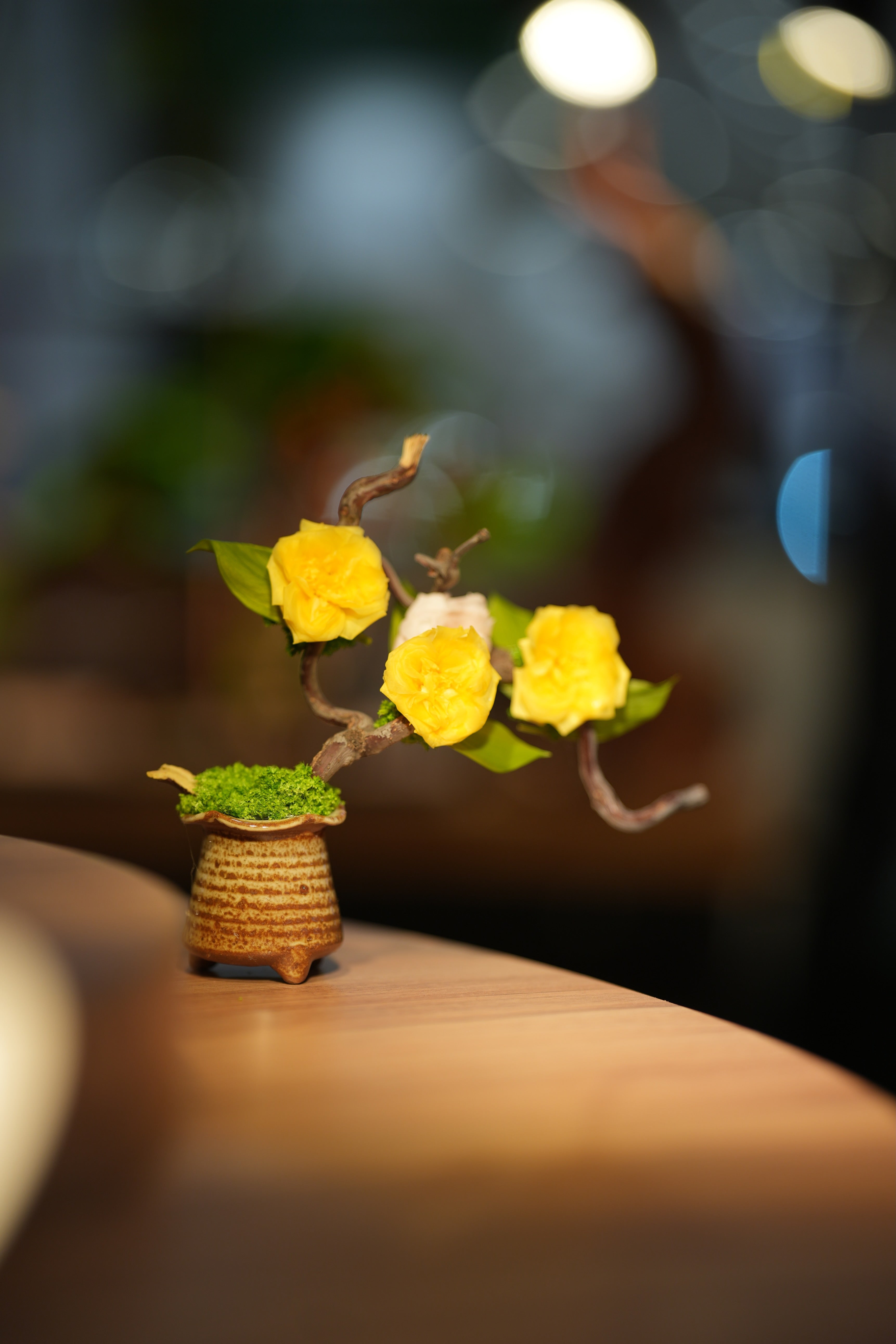 Children of the Forest - Vibrant - French Rose