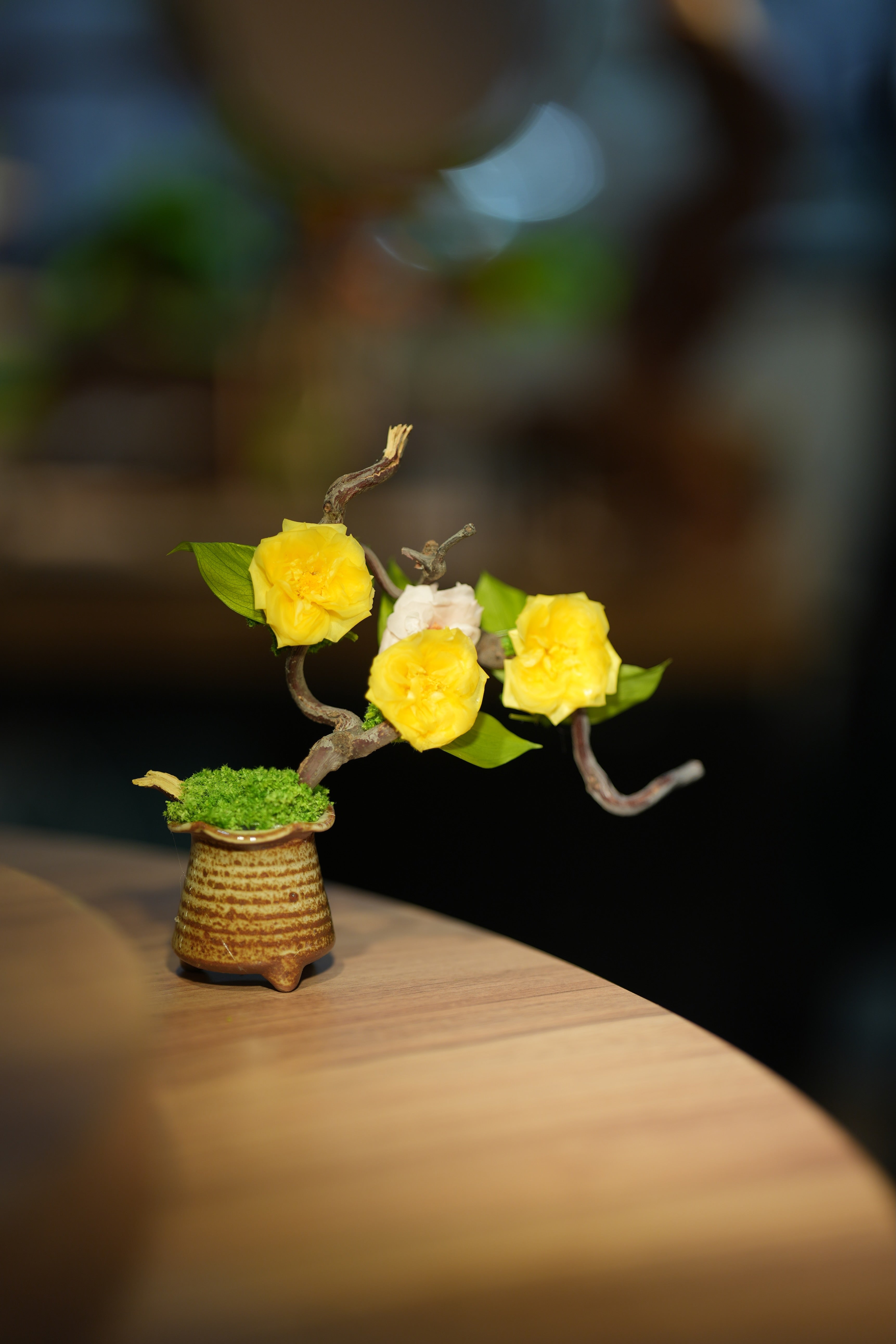 Children of the Forest - Vibrant - French Rose