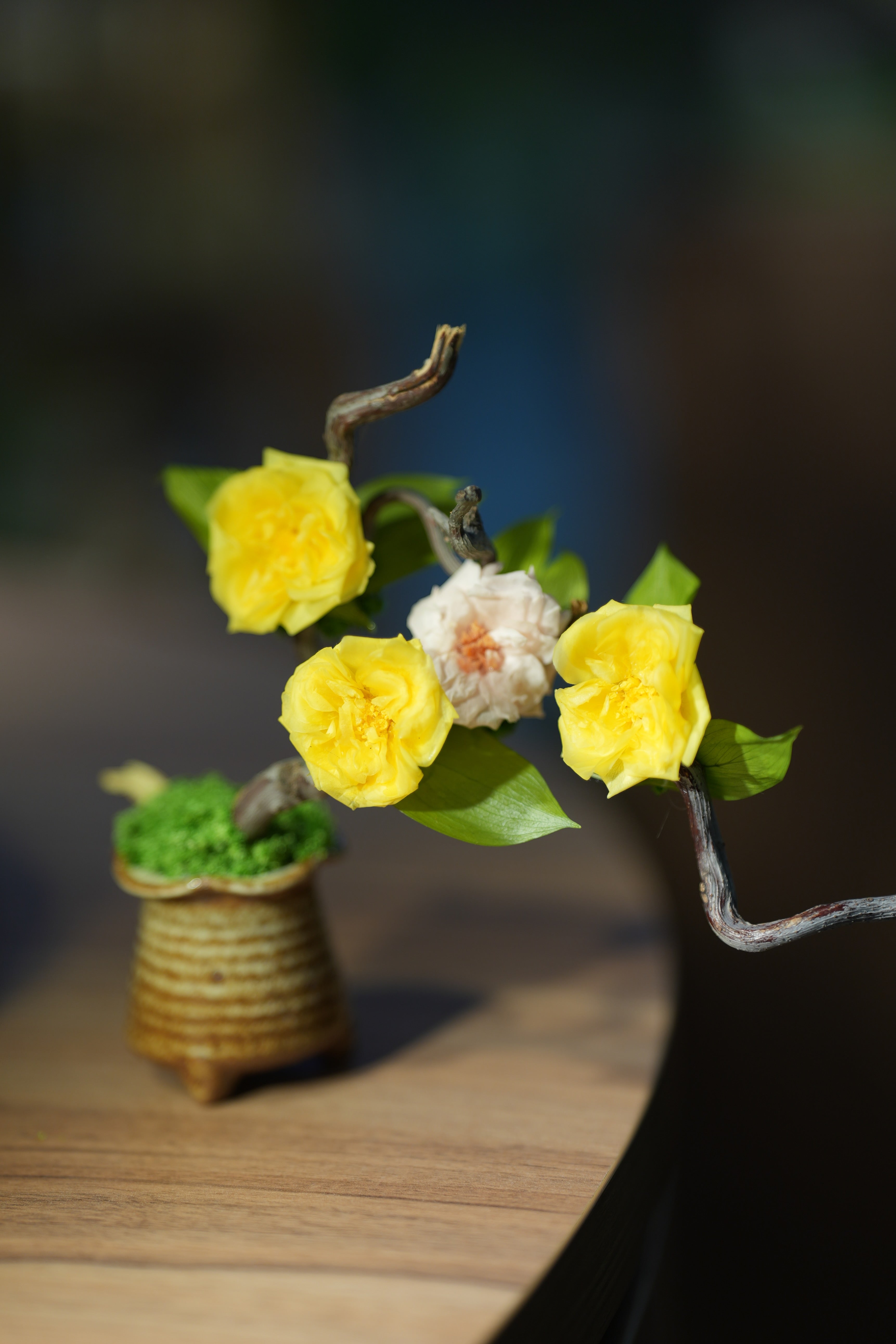 Children of the Forest - Vibrant - French Rose