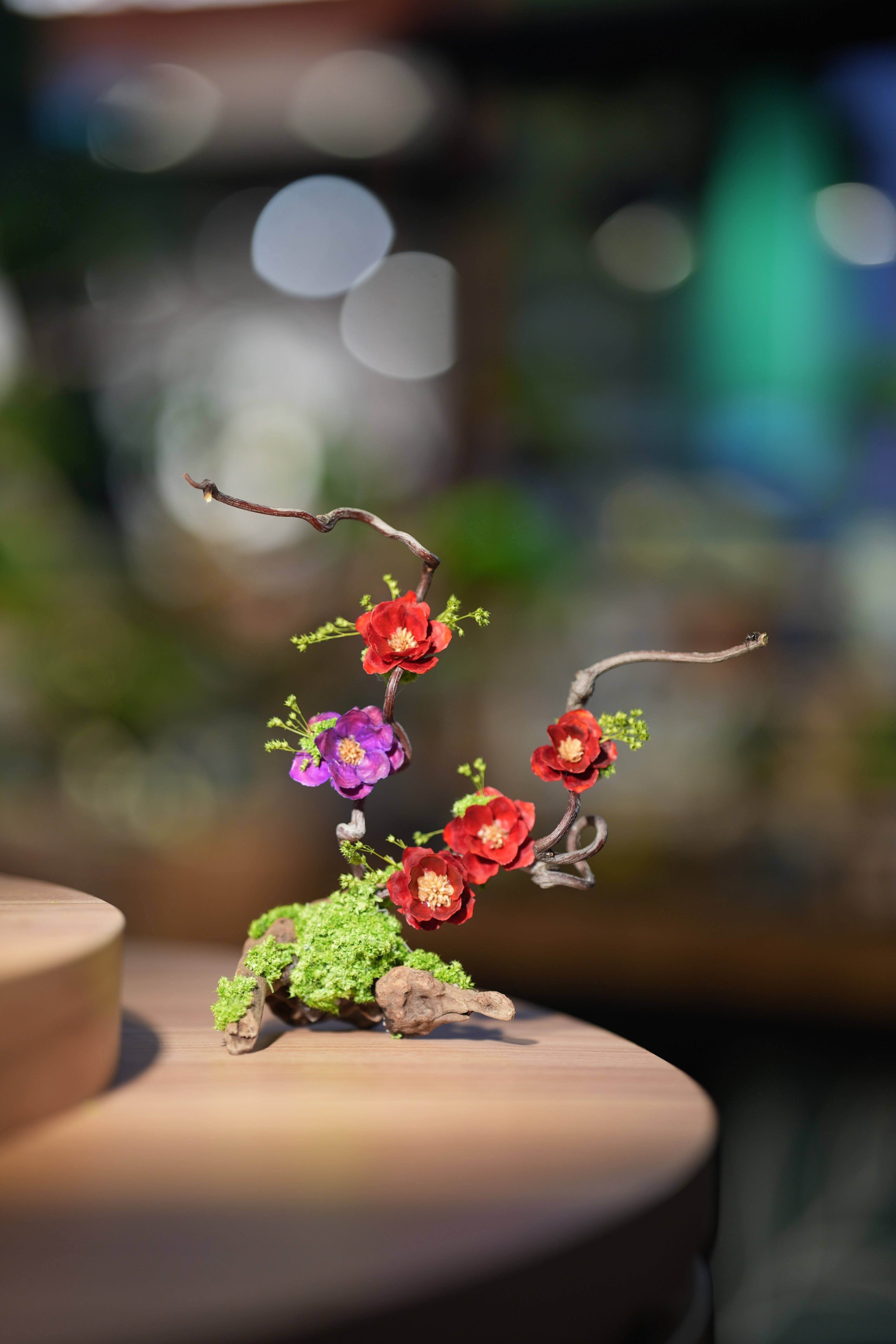 Children of the Forest - Vibrant - Driftwood