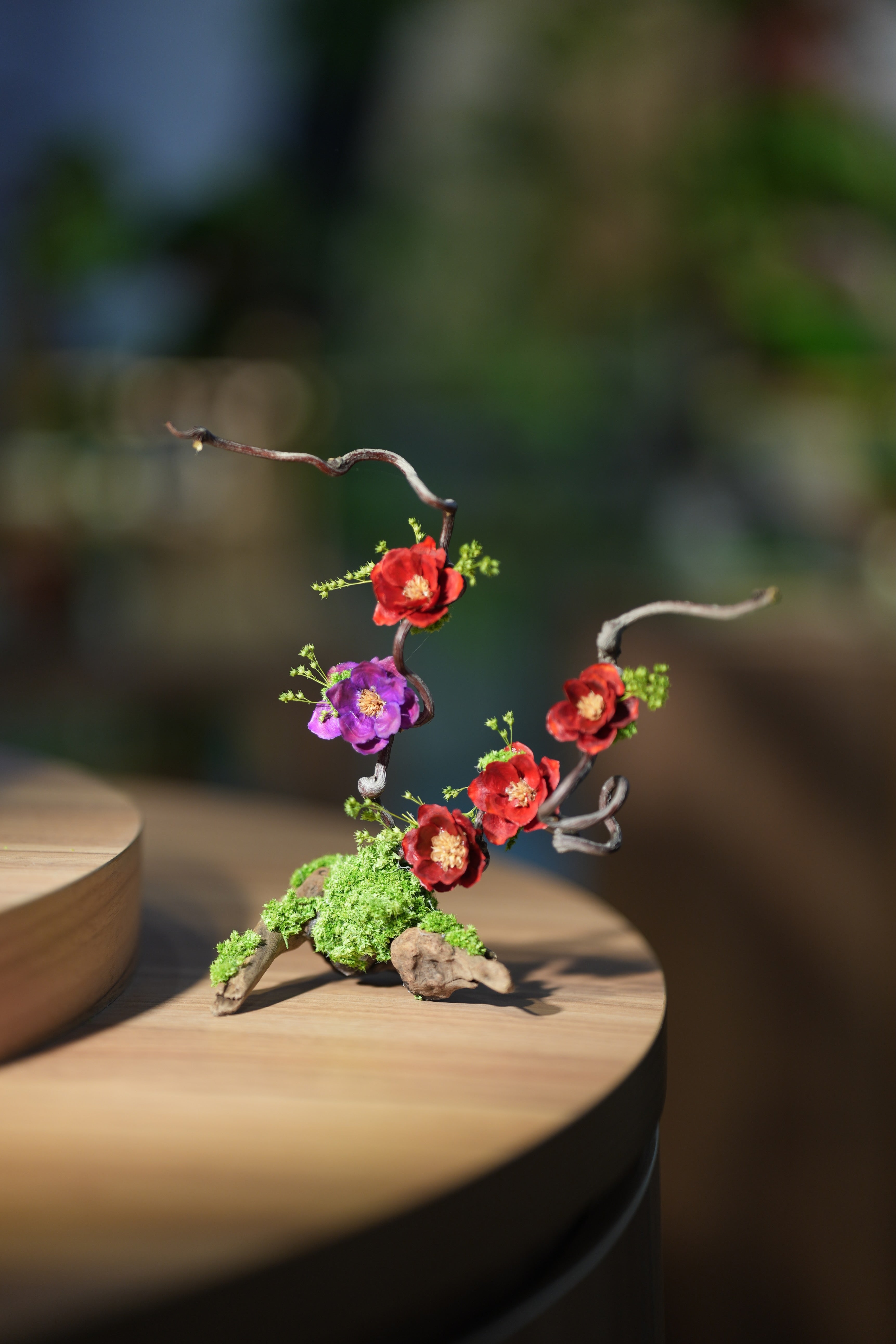 Children of the Forest - Vibrant - Driftwood