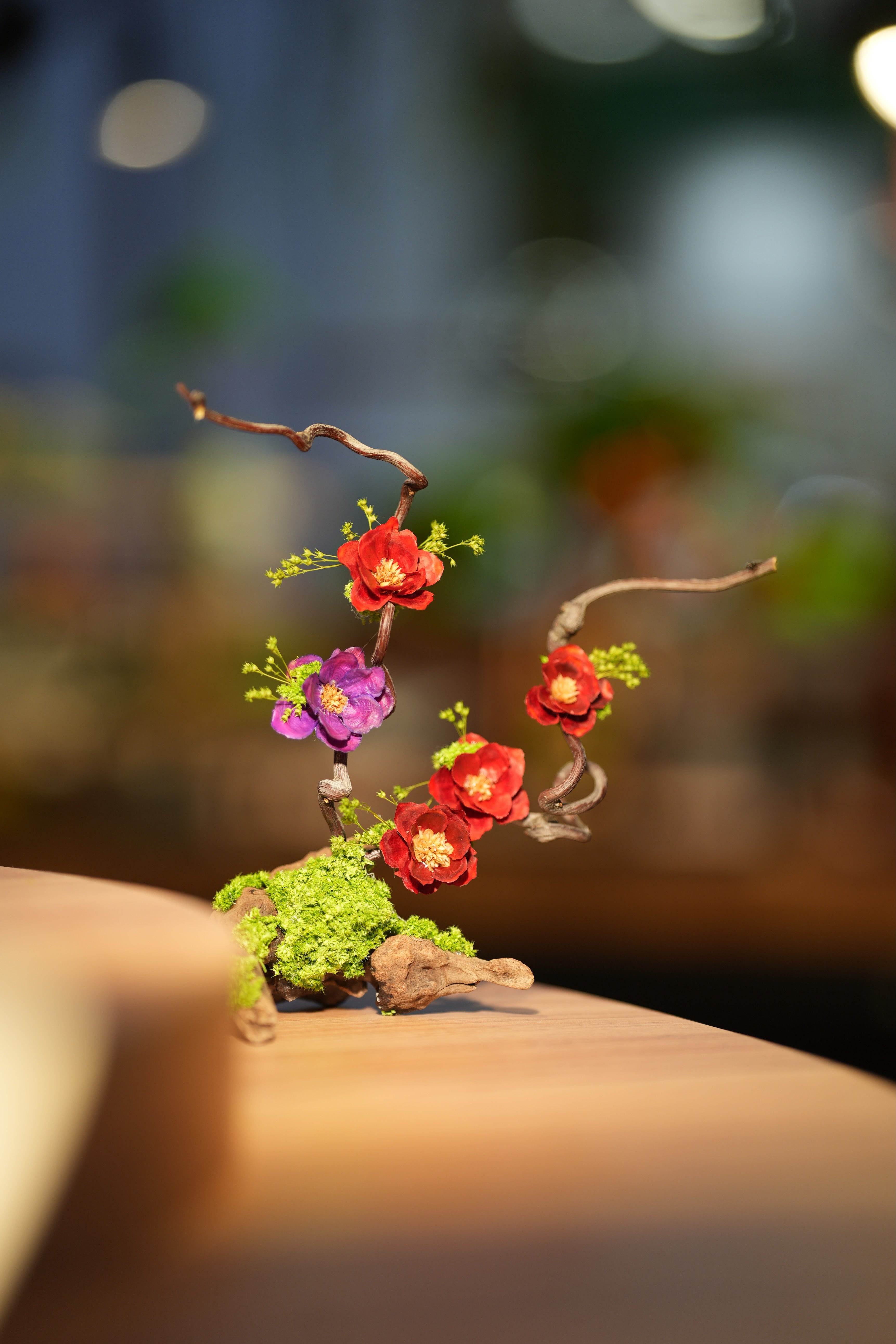 Children of the Forest - Vibrant - Driftwood