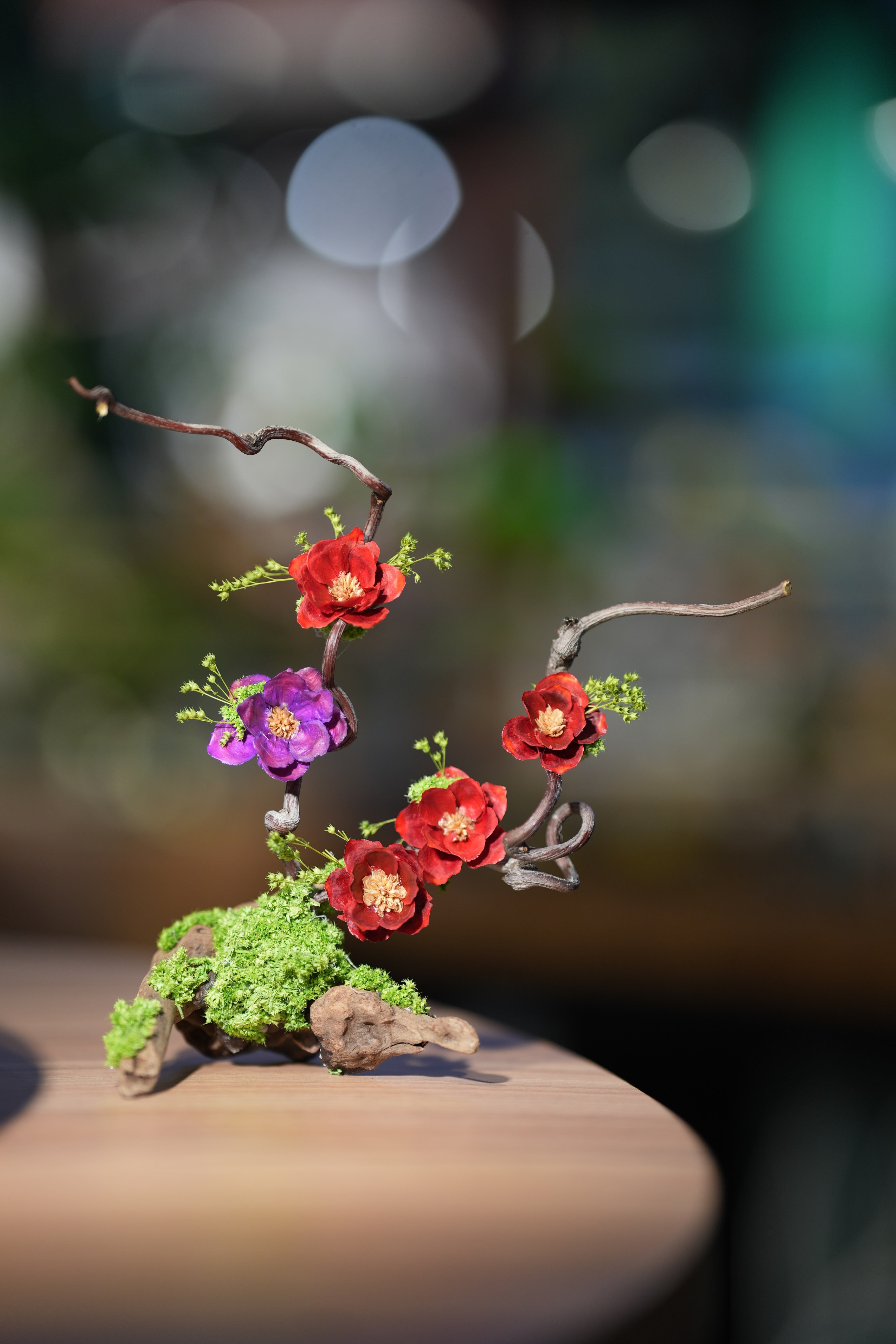 Children of the Forest - Vibrant - Driftwood