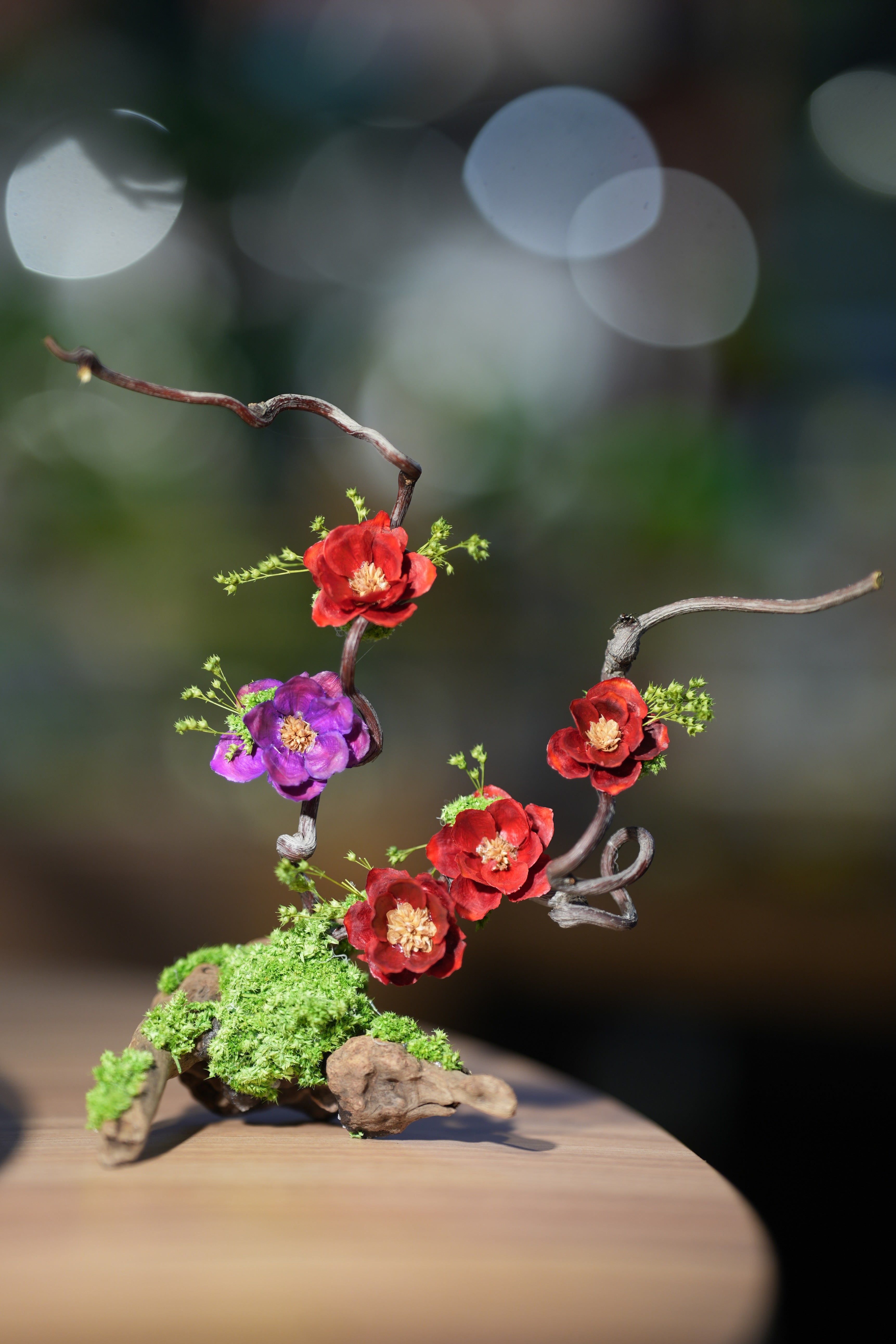 Children of the Forest - Vibrant - Driftwood