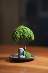 A Small Tree in the East - Journeyman