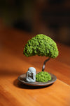 A Small Tree in the East - Journeyman