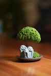 A Small Tree in the East - Trio of No Evil
