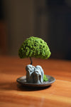 A Small Tree in the East - Trio of No Evil