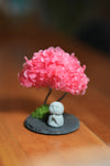 A Small Tree in the East - Journeyman