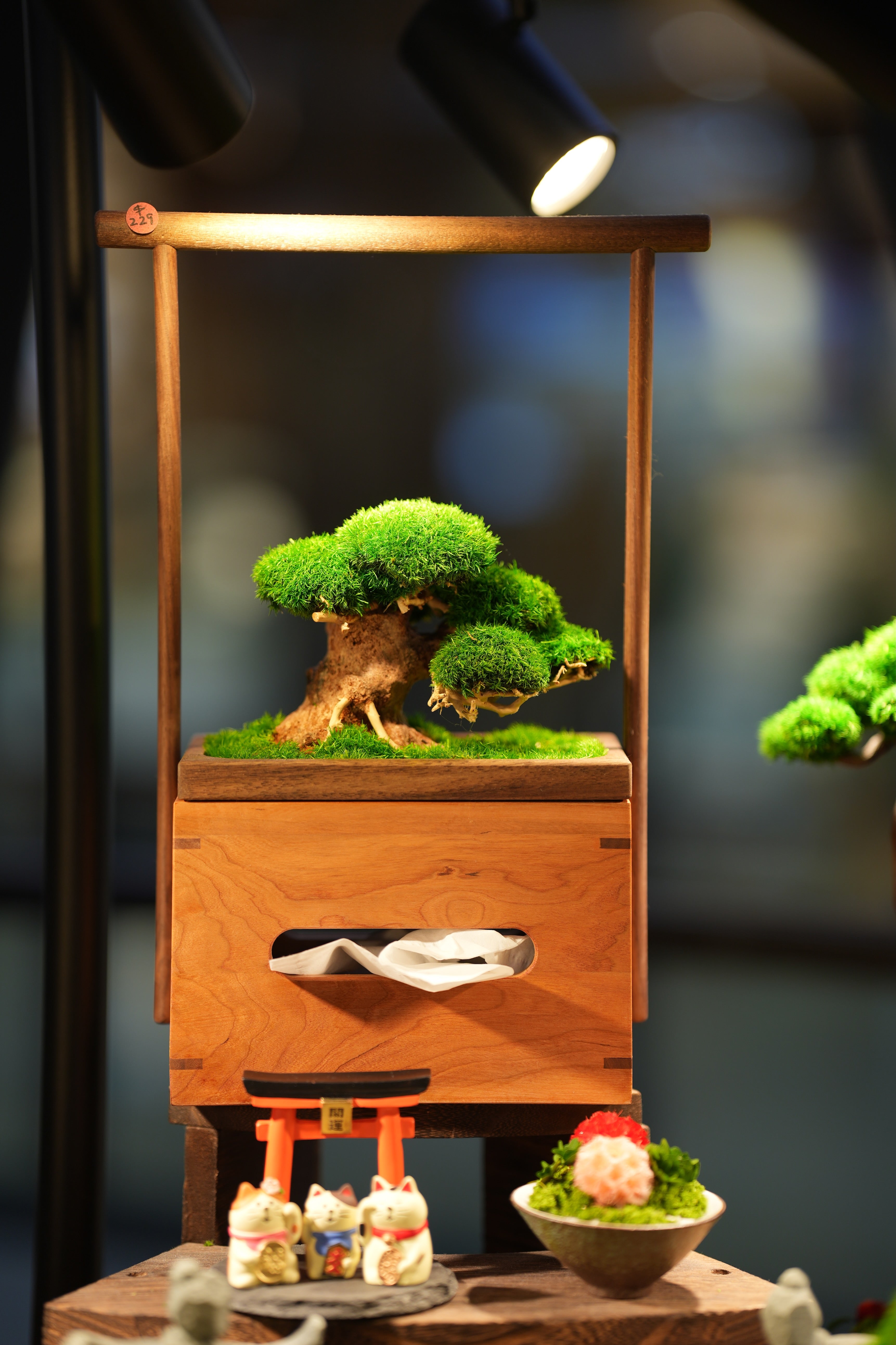Slow Wood - Young - Tissue Box edition