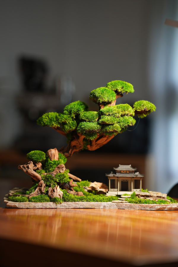 Greenwood - A Path in the East (Preserved Plants)