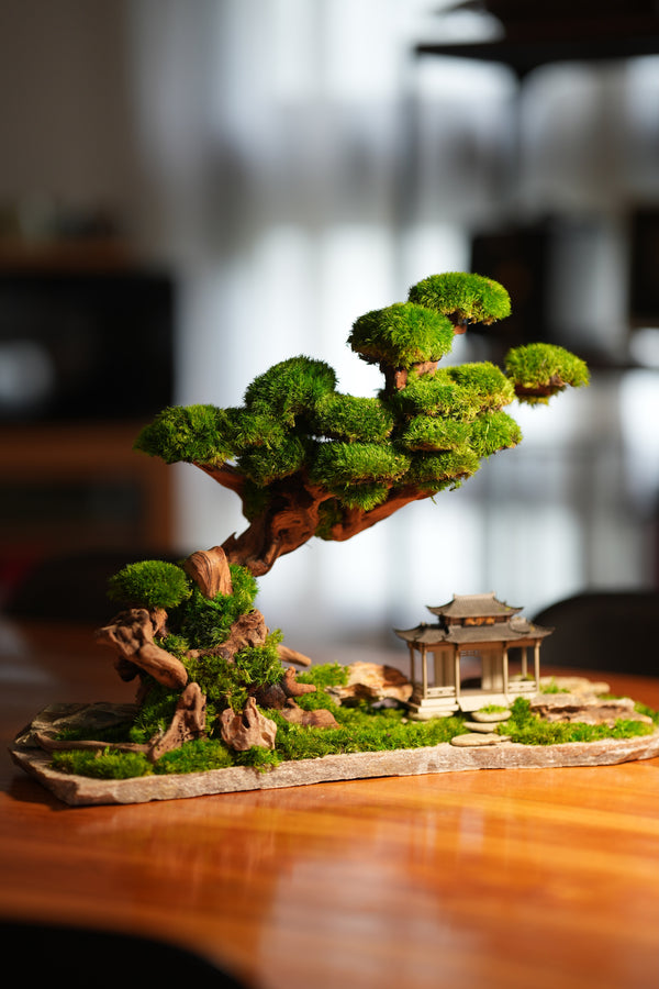 Greenwood - A Path in the East (Preserved Plants)