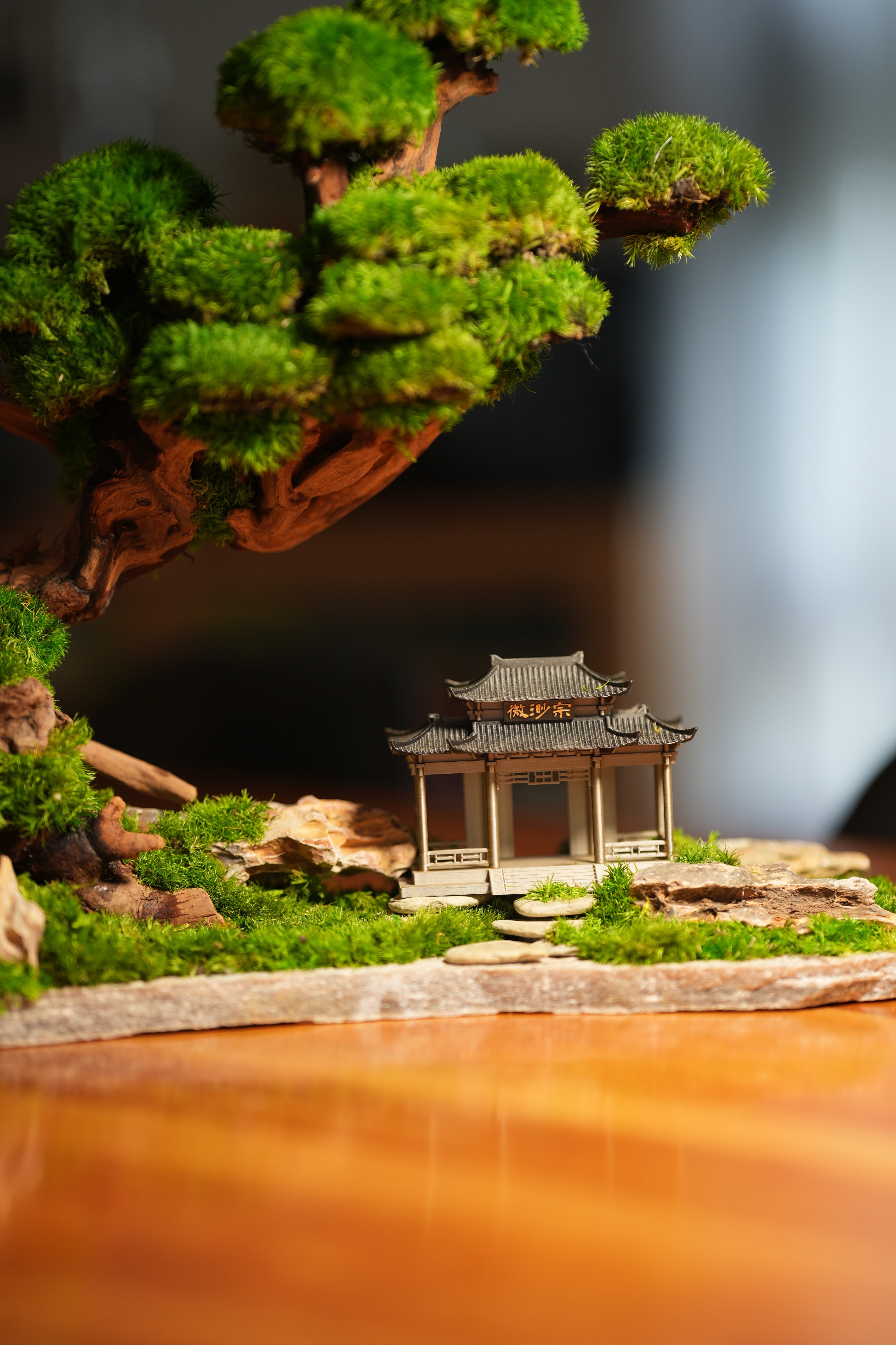 Greenwood - A Path in the East (Preserved Plants)